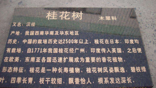 树木标牌